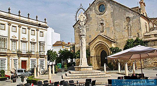 5 interesting things to do in Jerez de la Frontera, in addition to seeing wineries