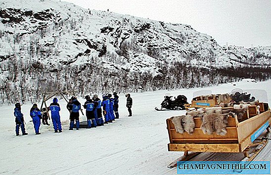 Detta är upplevelsen av kungskrabbsafari i Lappland Norge