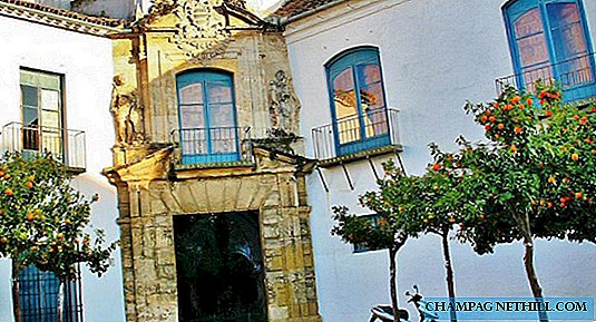 How is the visit of the Palacio de Viana and its courtyards in Córdoba