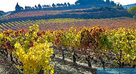 Comment faire un voyage viticole sur mesure dans la Rioja