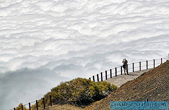 Comment voir la mer de nuages ​​à Tenerife du point de vue de Tarta del Teide