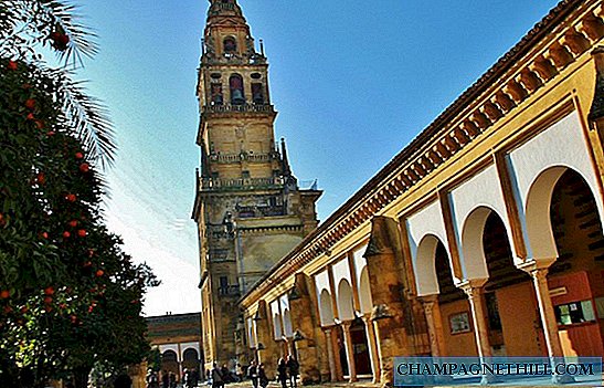 Córdoba - Photo Gallery of the Patio de los Naranjos in the Cathedral Mosque
