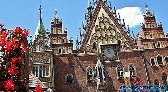 Sfaturi pentru vizitarea Wroclaw și a frumoasei sale piețe de piață din Polonia