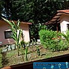 Costa Rica - Fotografii ale caselor Luna Naranja și Sol de Mango din Puerto Viejo