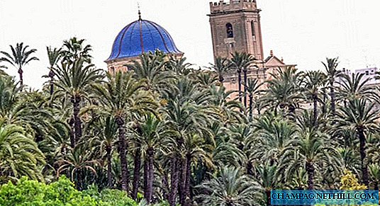 Descubra curiosidades da história do Palm Grove de Elche em Alicante