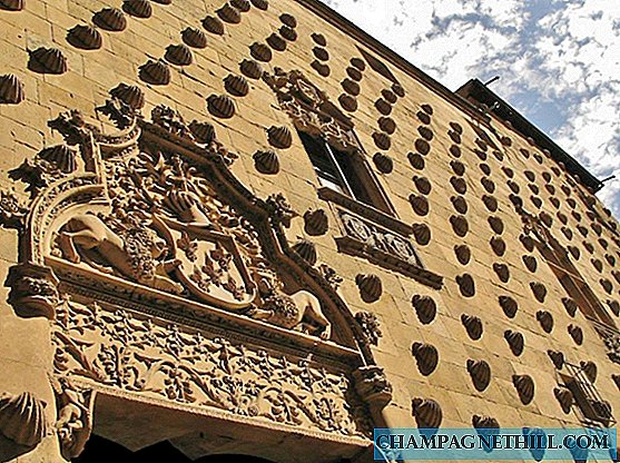 Descubra o patrimônio oculto de Salamanca com visitas guiadas teatrais