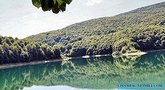 Entdecken Sie die Selva de Irati in Navarra, die zweitgrößte Buche Europas