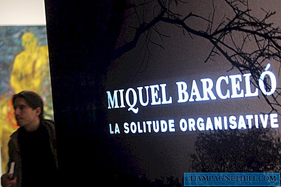 Tentoonstellingen van schilderijen van Miquel Barceló y Monet in Madrid