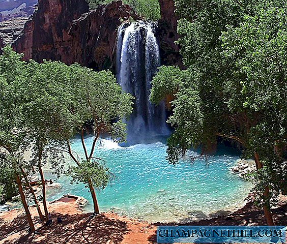 Havasu Falls et Skywalk, visites autour du Grand Canyon du Colorado en Arizona