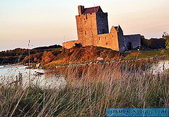 أيرلندا - قلعة Dunguaire و Kinvarra ، على طريق ساحل المحيط الأطلسي