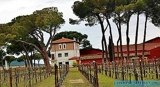 Winery terbaik di Golden Mile Ribera del Duero