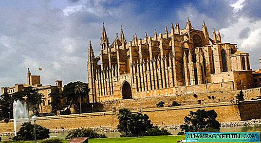 The best tips to visit the most cultural Palma de Mallorca