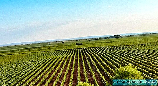 Места и винодельни для посещения в Сокуэлламосе на винном туристическом маршруте