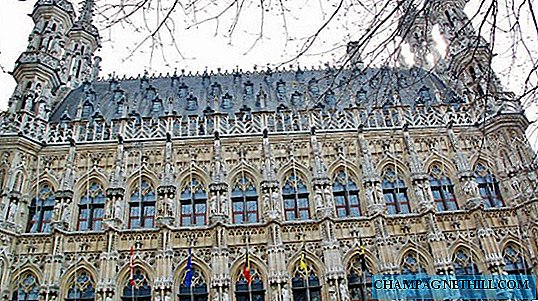 Лучшие советы для посещения Лювена и его готической ратуши в Бельгии