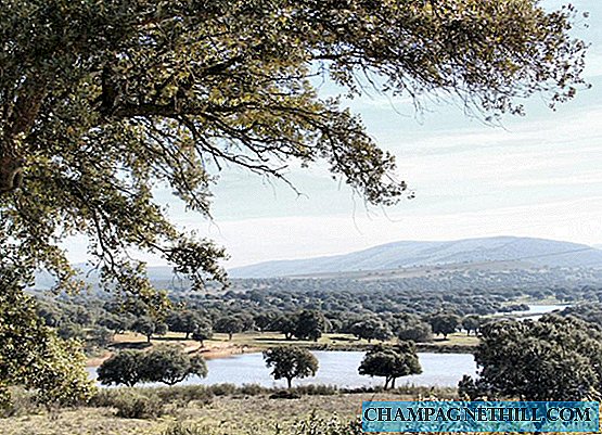 Monfrague - Tai yra 4 × 4 ekskursijos apžiūrėti Extremadura ganyklas