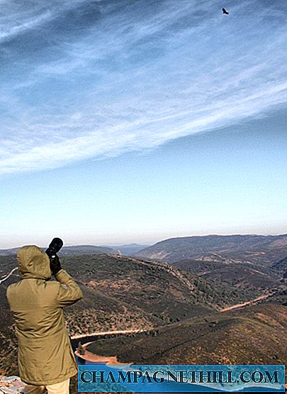 Monfrague - Fotos de vistas panorâmicas e aves de rapina assistindo do castelo