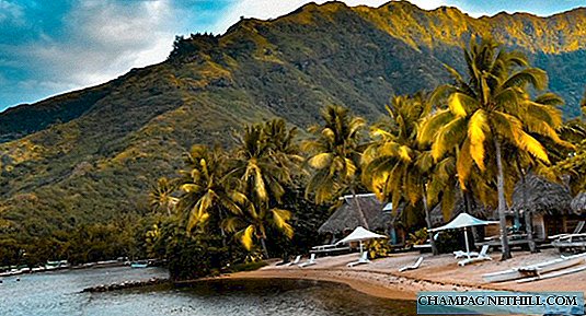 Was ist zu sehen und zu tun in Moorea, der Schwesterinsel von Tahiti in Französisch-Polynesien