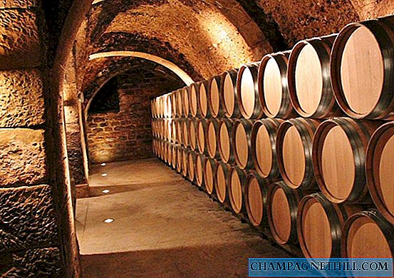 Rioja Alavesa - Besök av traditionella vingårdar i grottor i medeltida byar