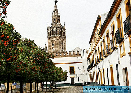 Seville - Burası Barrio de Santa Cruz'daki Patio de Banderas meydanı.