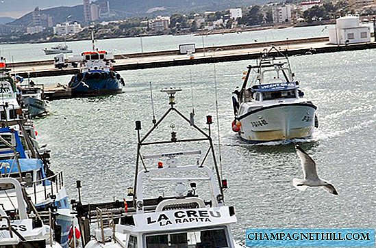 Tarragona - Live the fish market activity of the fishing port of La Rápita