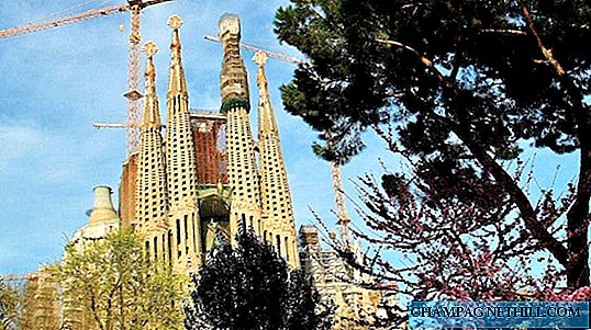 جميع الخيارات لزيارة كنيسة العائلة المقدسة دون طوابير في برشلونة