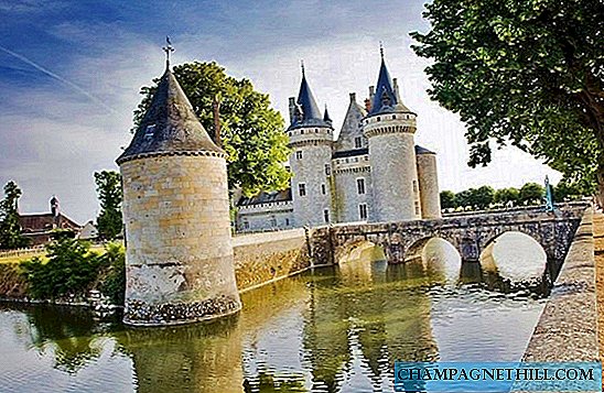 Loire Valley - Slotte, klostre og andre udflugter nær Orleans