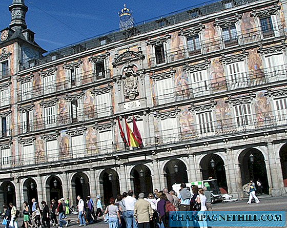 Guided tours and scheduled routes with tour guides in Madrid