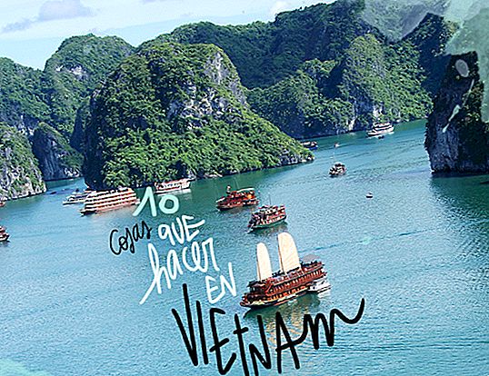 10 Saker att se och göra i VIETNAM