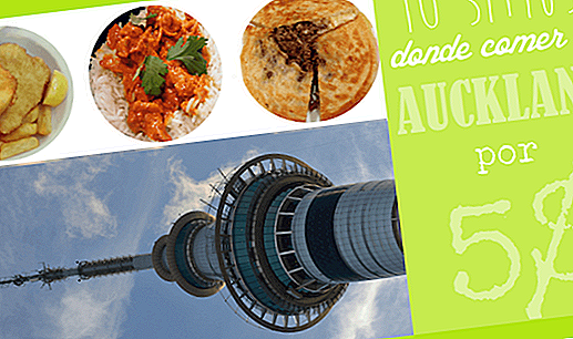 10 SITES WHERE TO EAT IN AUCKLAND CHEAP