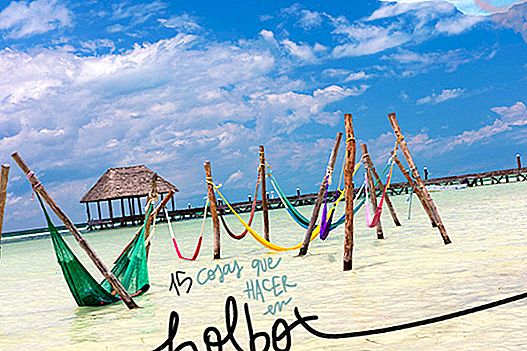 15 вещей, чтобы увидеть и сделать в HOLBOX, расслабленном острове Мексики
