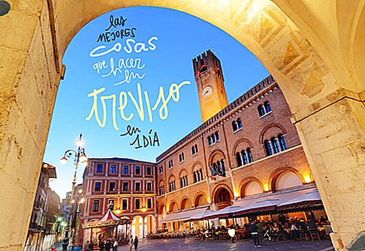 15 THINGS TO SEE AND DO IN TREVISO IN ONE DAY (OR MORE)