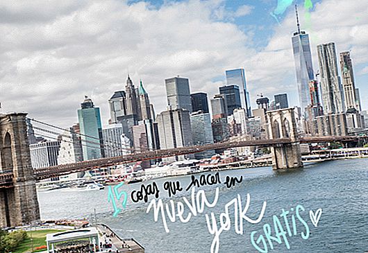 20 věcí, které můžete dělat v NEW YORK ZDARMA