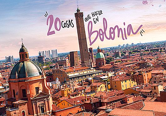 20 dalykų, kuriuos reikia pamatyti ir nuveikti Bolognoje
