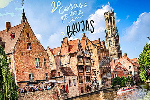 20 THINGS TO SEE AND DO IN BRUGES