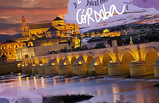 20 THINGS TO SEE AND DO IN CÓRDOBA