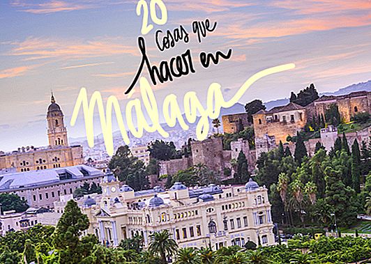 20 stvari, ki jih je treba videti in delati v Malagi