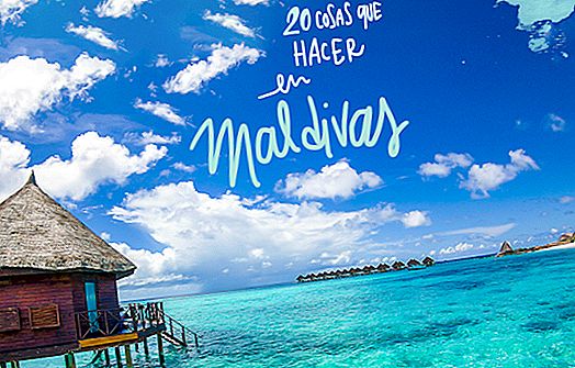 20 stvari, ki jih je treba videti in narediti v MALDIVIH