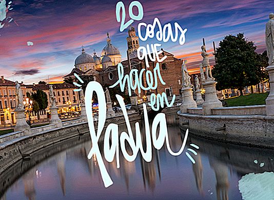 20 THINGS TO SEE AND DO IN PADUA