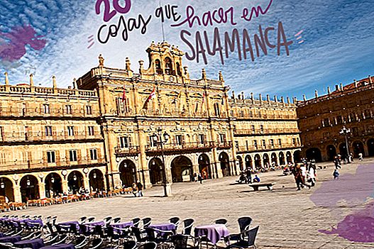 20 THINGS TO SEE AND DO IN SALAMANCA IN ONE DAY (OR MORE)