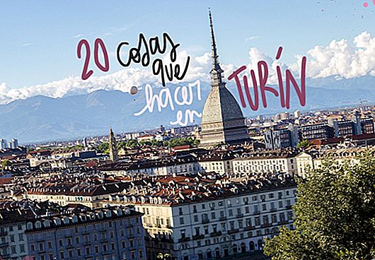 20 THINGS TO SEE AND DO IN TURIN