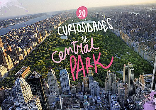 20 FUNCTIONS OF CENTRAL PARK