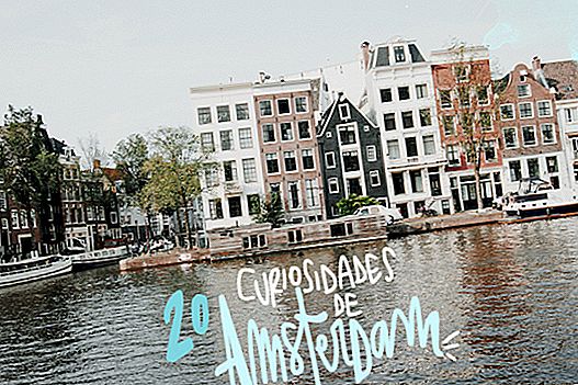 20 CURIOSITIES OF AMSTERDAM