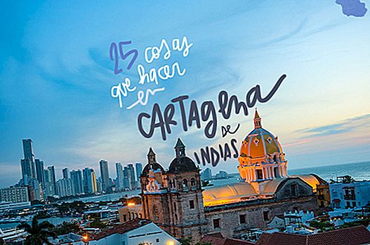 25 de lucruri de văzut și de făcut în CARTAGENA DE INDIAS