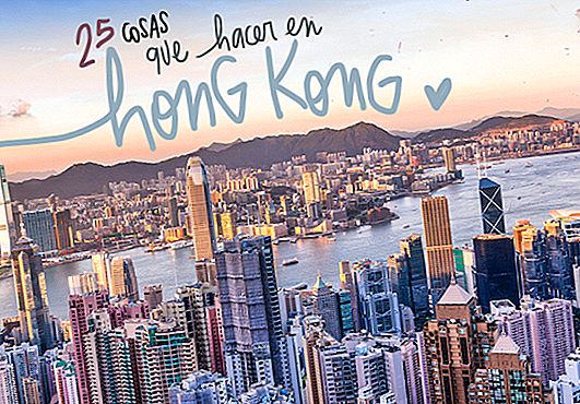 25 věcí, které můžete vidět a dělat v hongkongu