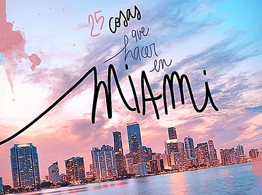 25 THINGS TO SEE AND DO IN MIAMI