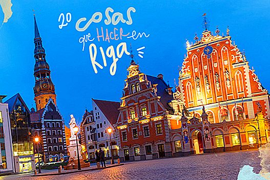 25 THINGS TO SEE AND DO IN RIGA