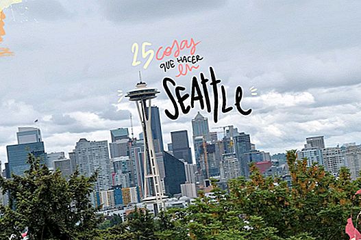 25 THINGS TO SEE AND DO IN SEATTLE