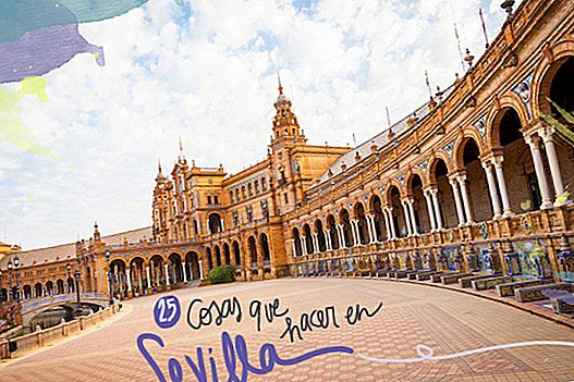 25 THINGS TO SEE AND DO IN SEVILLE
