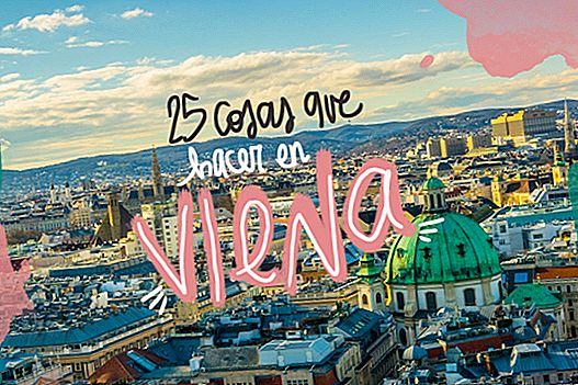 25 věcí, které můžete vidět a dělat ve Vídni
