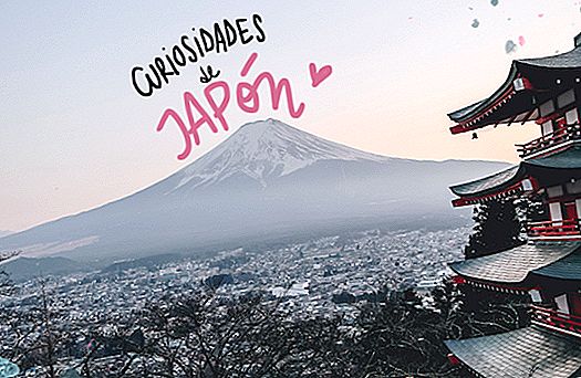 일본과 일본의 25 가지 호기심